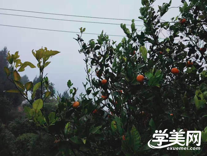 成都半永久纹绣培训